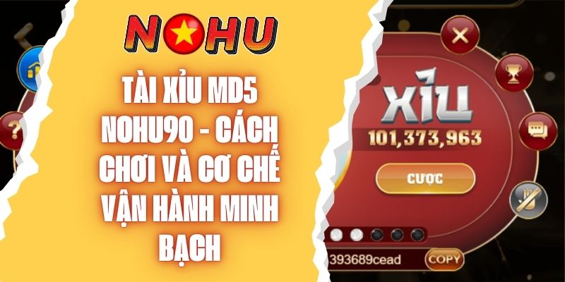 Tài Xỉu Md5 NOHU90 - Cách Chơi Và Cơ Chế Vận Hành Minh Bạch